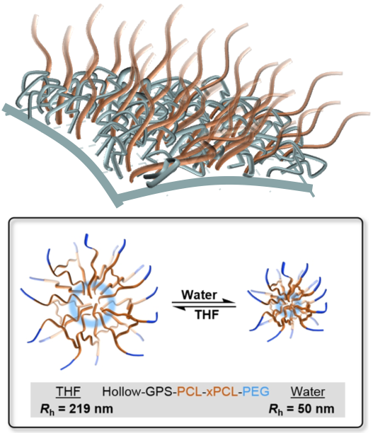 (Top) Schematic showing polymer brushes on a spherical nanoparticle surface. (Bottom) Schematic of a hollow nanodispersant and size changes in different solvents. The particles are larger in THF where both polymers extend, compared with water where one of the blocks collapses.